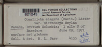 Image Associated With the Occurence